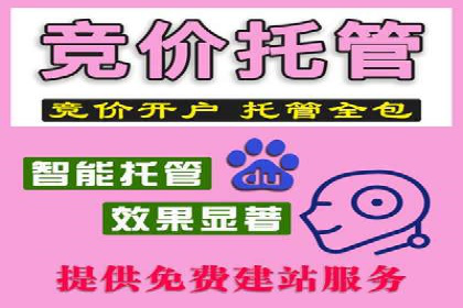 SEM竞价开户流程详解：成功案例解析